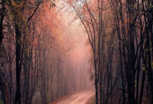 九游娱乐首页-塔斯马尼亚联新星爆发,挑战蒙特雷防线坚固