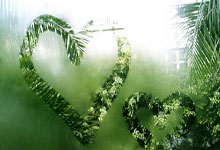 九游娱乐官方-蒙特雷防守细节优化,力求稳固后防