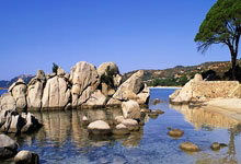 九游娱乐首页-德甲烽火再燃，南大王剑指十二连冠！