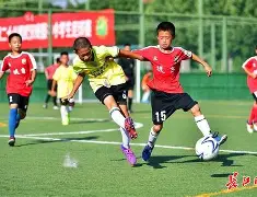 朗多在场上发挥领导能力备受称赞的简单介绍