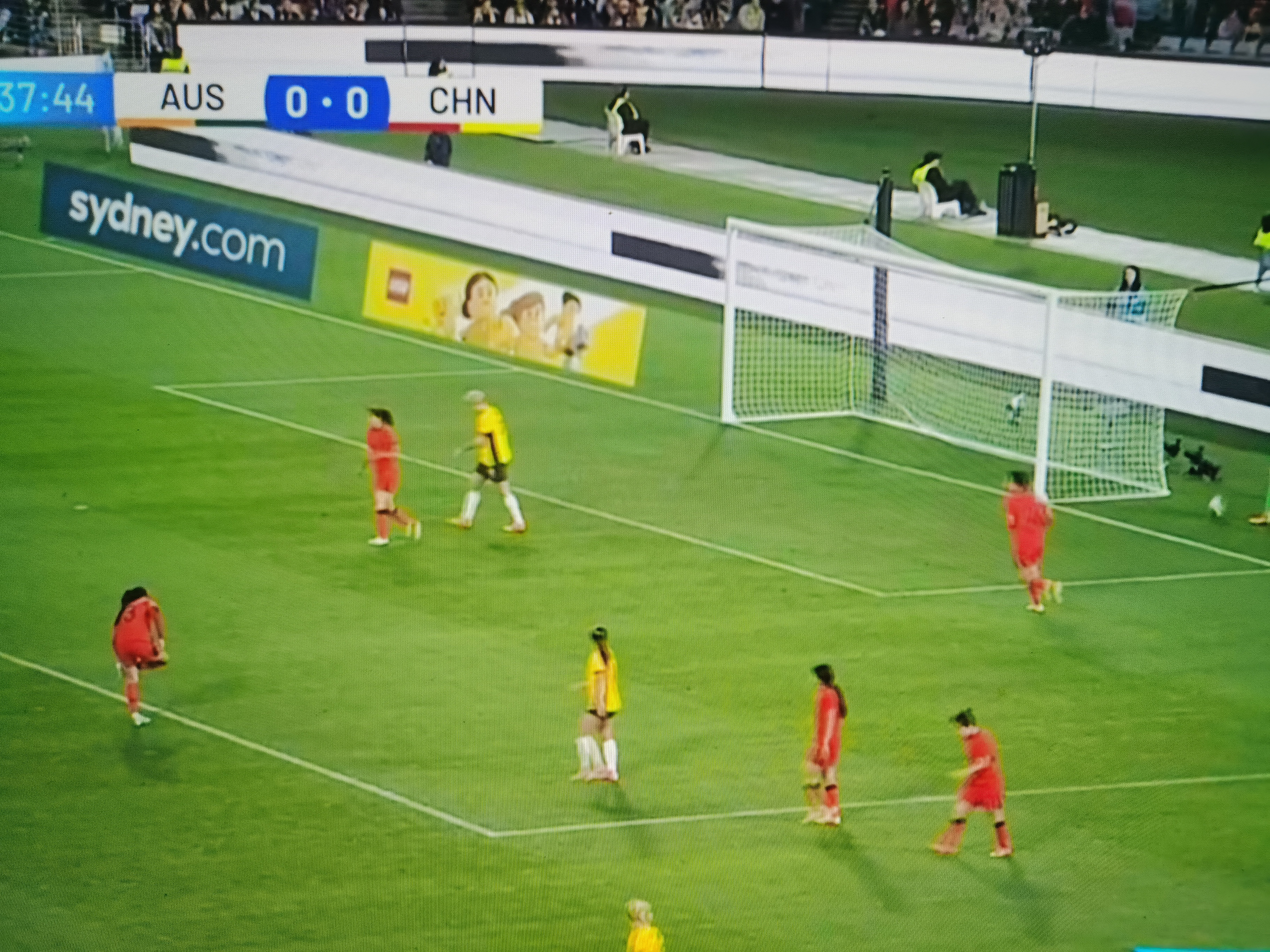 澳大利亚女足遭遇两连败